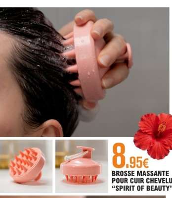 Brosse Massante Pour Cuir Chevelu 'Spirit of Beauty'