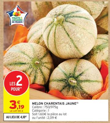MELON CHARENTAIS JAUNE