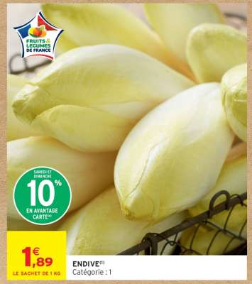 ENDIVE