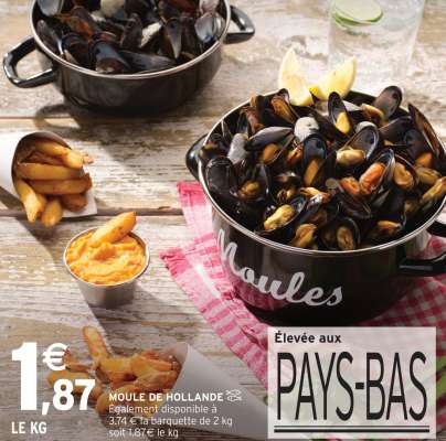 MOULE DE HOLLANDE