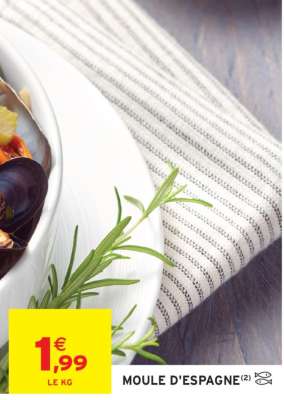 MOULE D'ESPAGNE