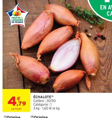 ÉCHALOTE