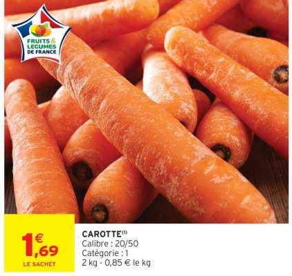 Carotte