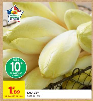 ENDIVE