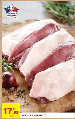 FILET DE CANARD