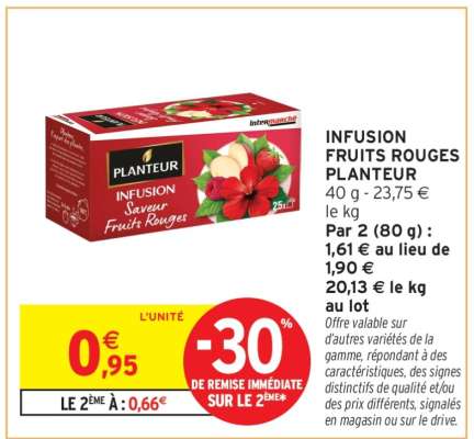 INFUSION FRUITS ROUGES PLANTEUR