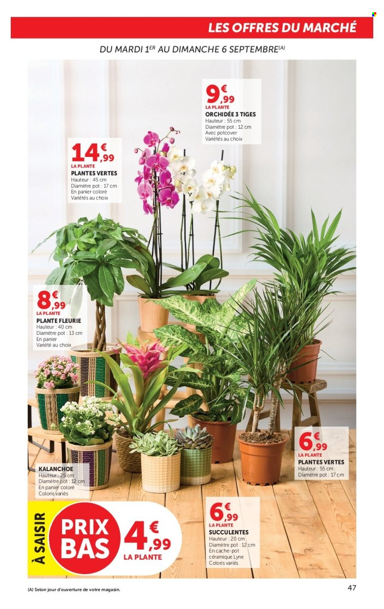 Catalogue HYPER U - 01/09/2026 - 13/09/2026. Page 47
