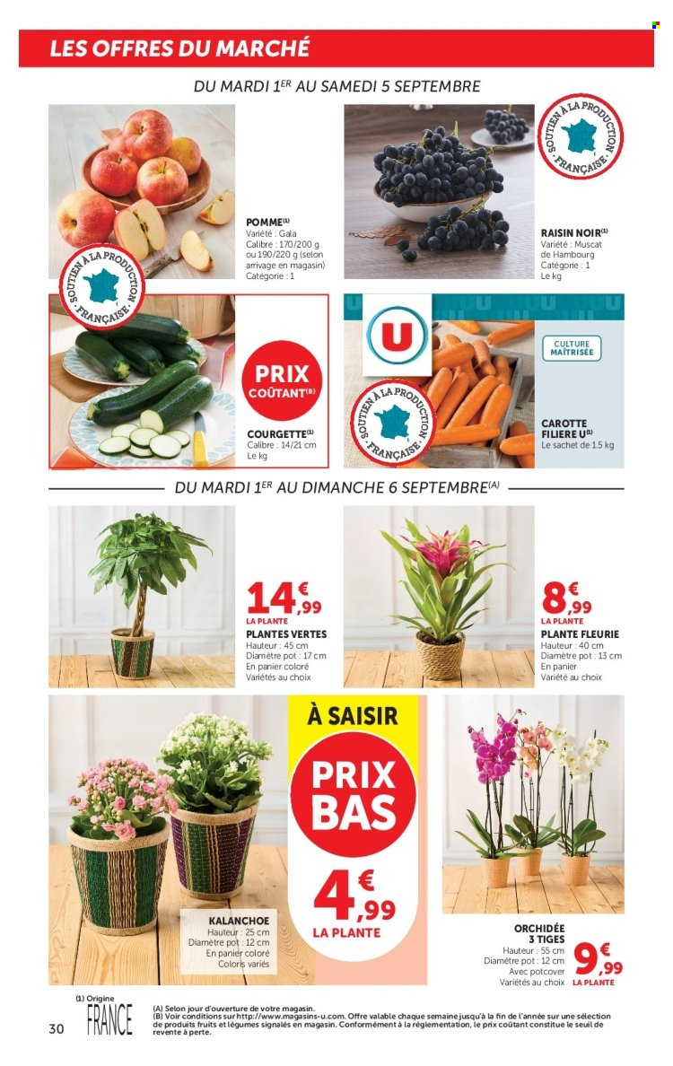 Catalogue SUPER U - 01/09/2026 - 13/09/2026. Page 30