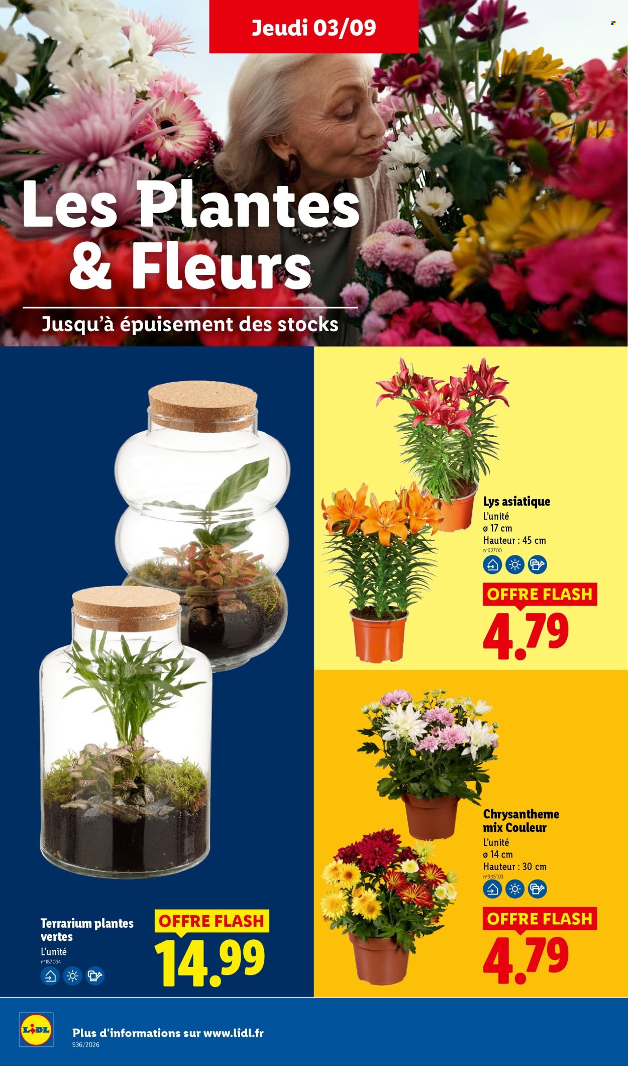 Catalogue Lidl - 03/09/2026 - 09/09/2026. Page 34