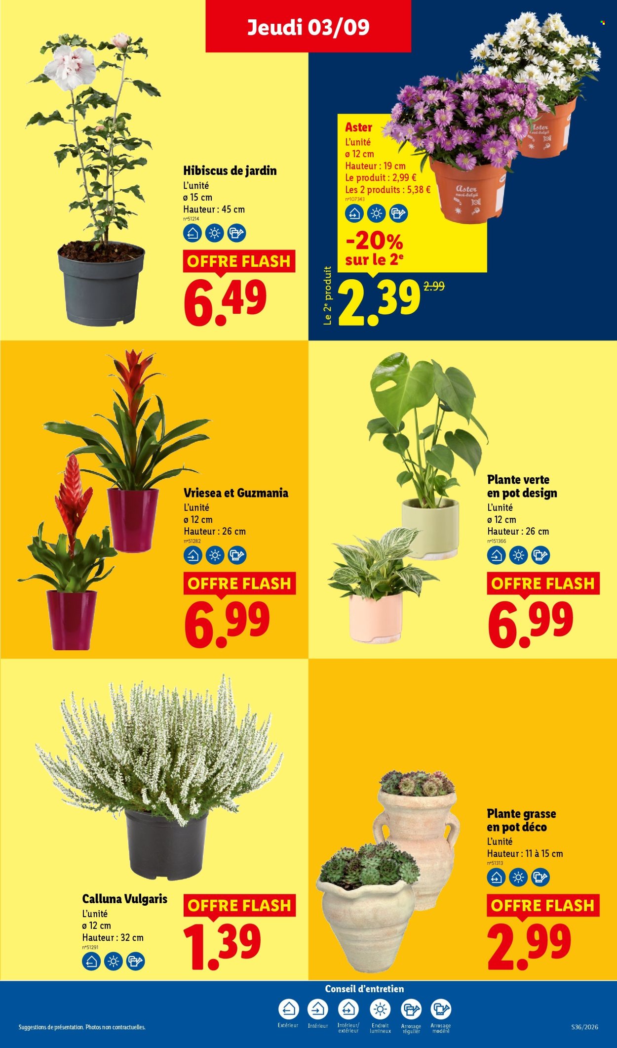 Catalogue Lidl - 03/09/2026 - 09/09/2026. Page 35