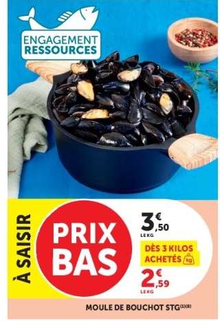 Moule de Bouchot STG