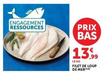 Filet de Loup de Mer