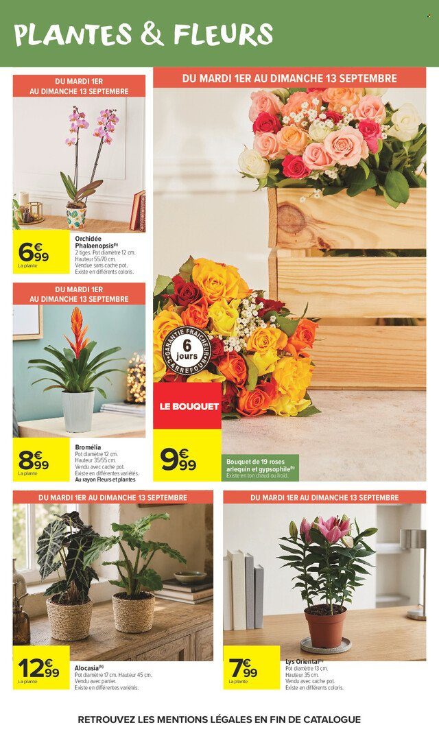 Catalogue Carrefour Market - 01/09/2026 - 13/09/2026. Page 52