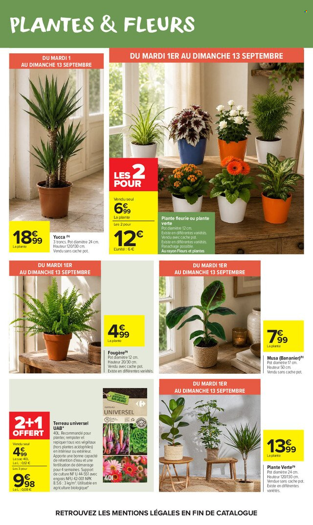 Catalogue Carrefour Market - 01/09/2026 - 13/09/2026. Page 53