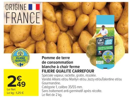 Pomme de terre de consommation blanche à chair ferme