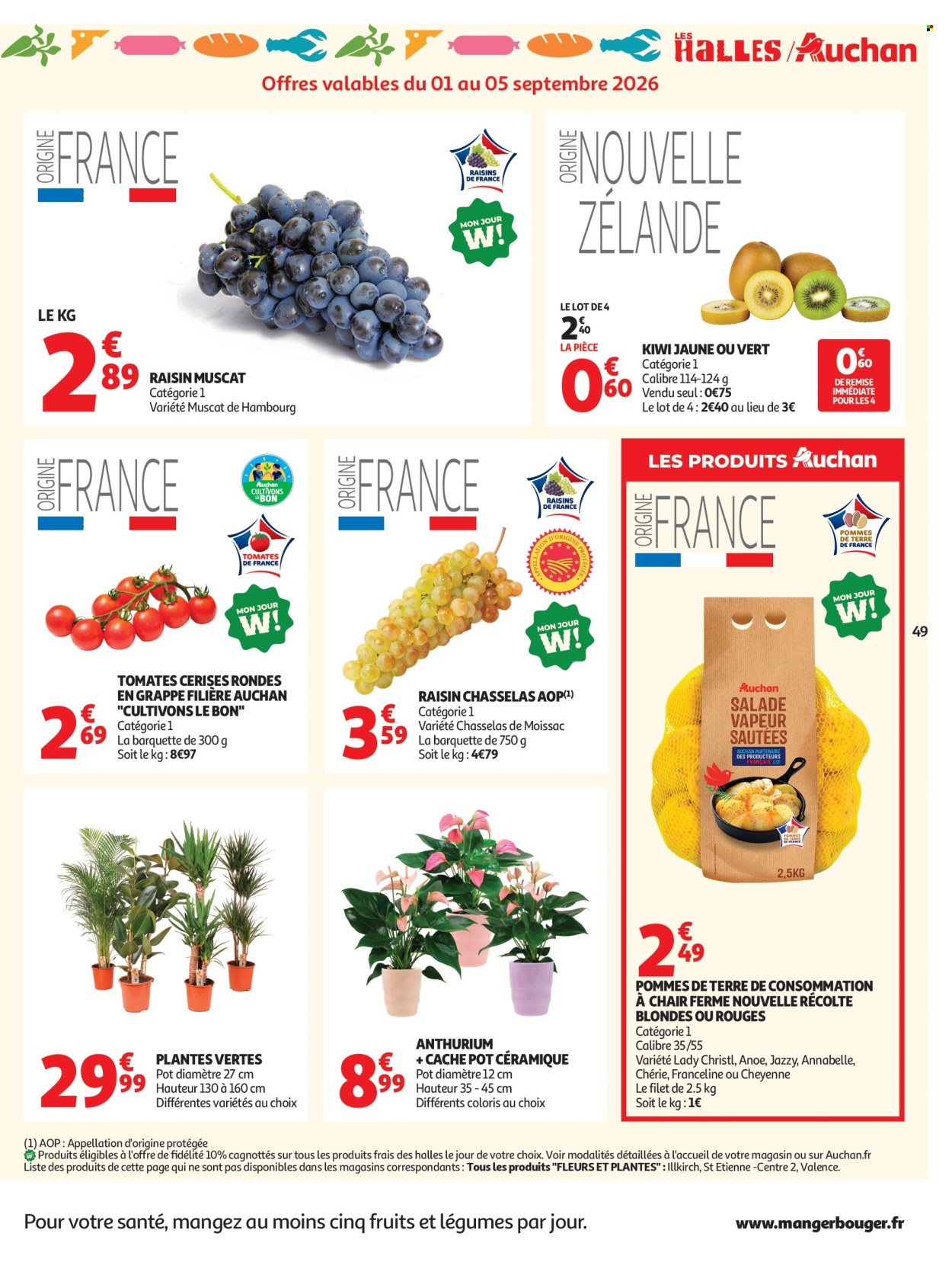 Catalogue Auchan - 01/09/2026 - 13/09/2026. Page 51