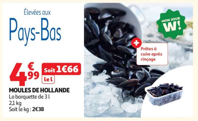 Moules De Hollande