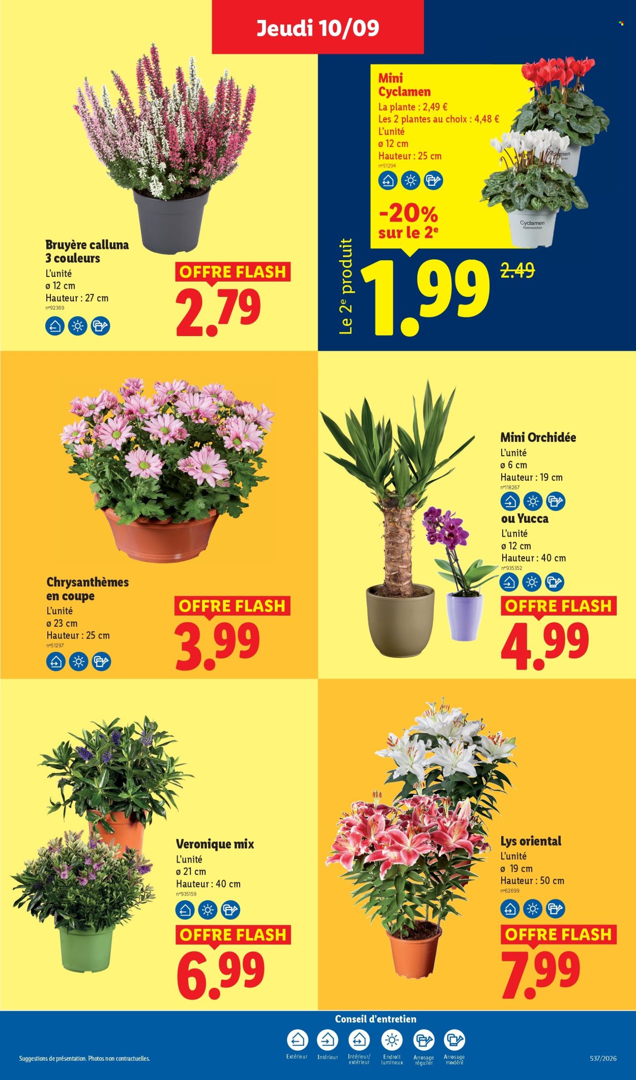 Catalogue Lidl - 10/09/2026 - 16/09/2026. Page 49