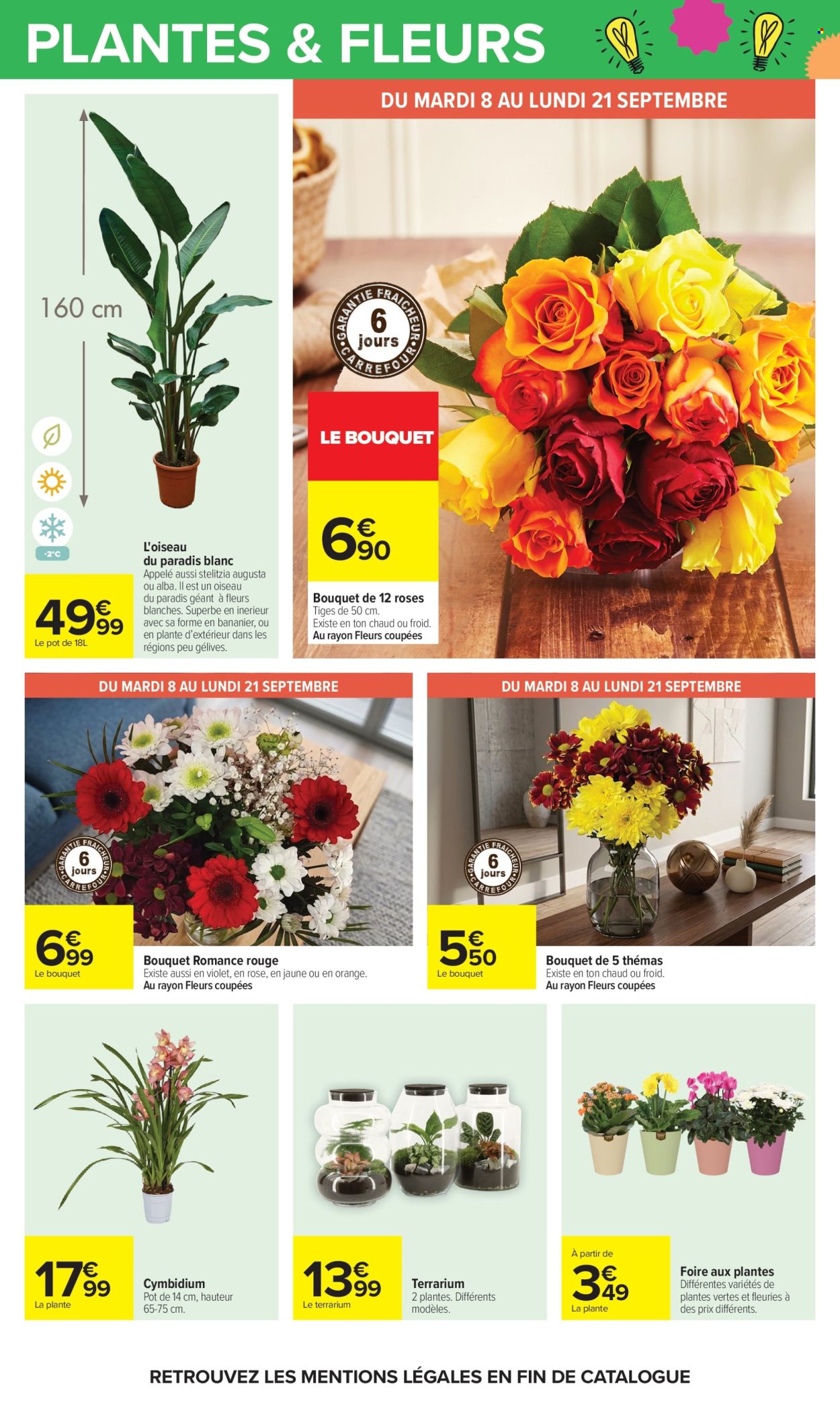 Catalogue Carrefour Hypermarchés - 08/09/2026 - 21/09/2026. Page 71