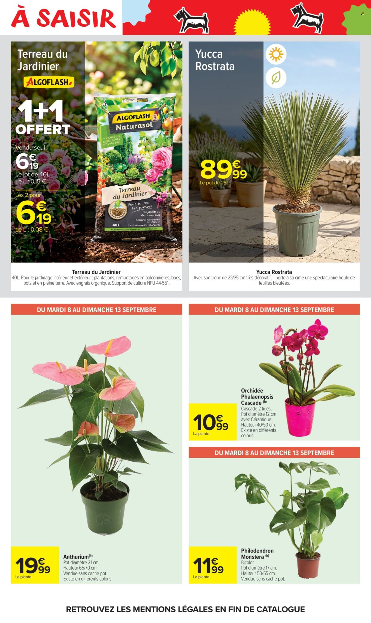 Catalogue Carrefour Market - 08/09/2026 - 20/09/2026. Page 52