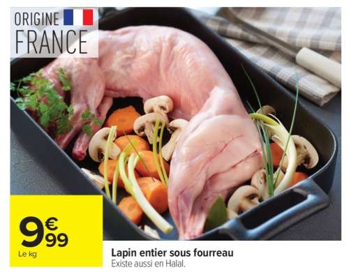 LAPIN ENTIER SOUS FOURREAU