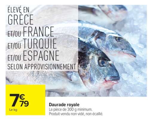 Daurade royale