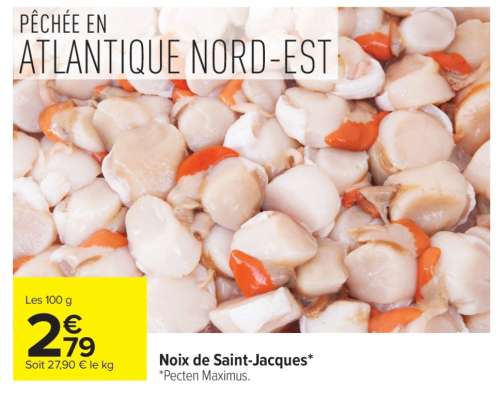 Noix De Saint-Jacques