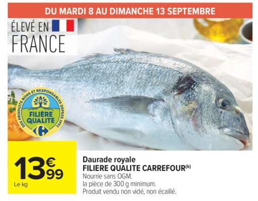 Daurade royale