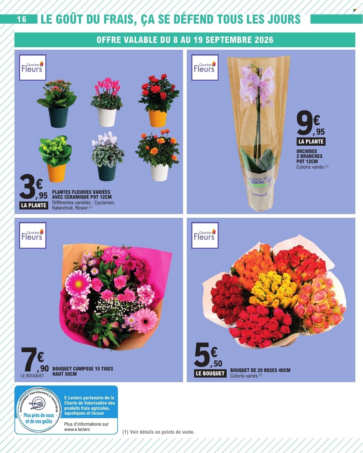 Catalogue E.Leclerc - 08/09/2026 - 19/09/2026. Page 16