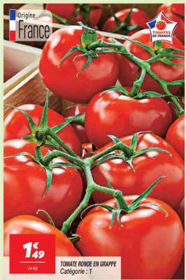 TOMATE RONDE EN GRAPPE