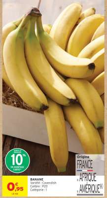 BANANE