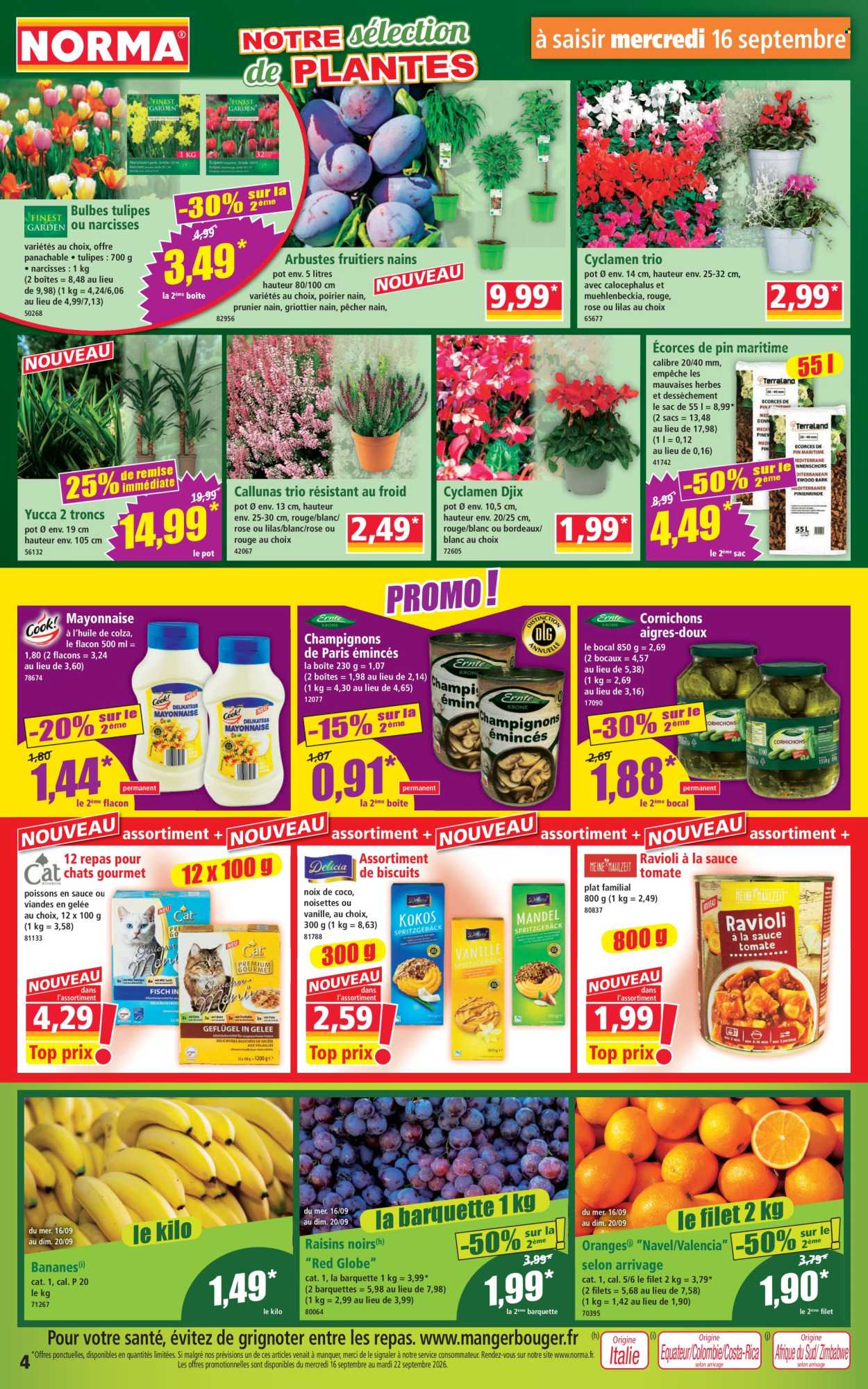 Catalogue Norma - 16/09/2026 - 22/09/2026. Page 4