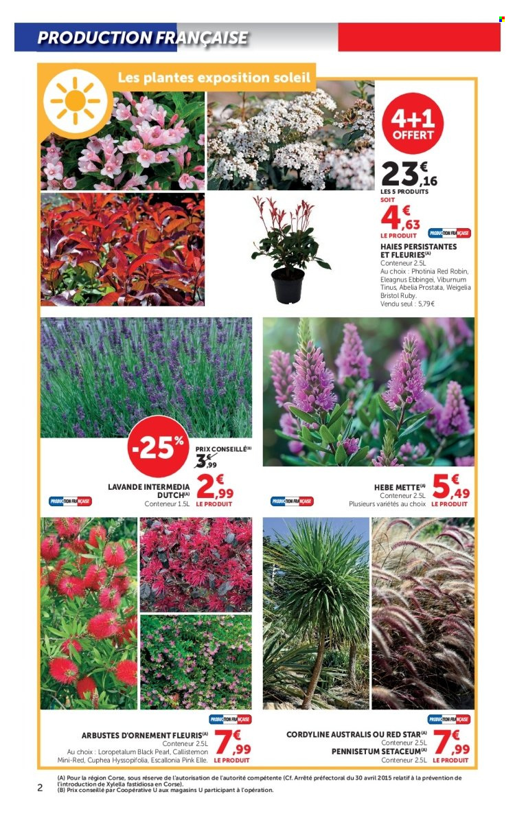 Catalogue SUPER U - 15/09/2026 - 27/09/2026. Page 2