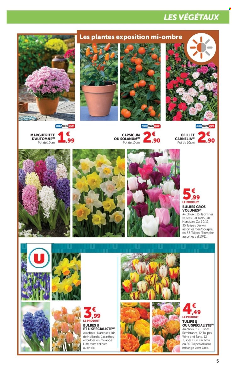 Catalogue SUPER U - 15/09/2026 - 27/09/2026. Page 5