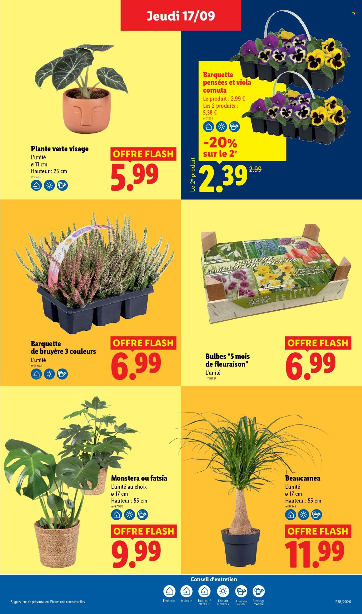 Catalogue Lidl - 17/09/2026 - 23/09/2026. Page 29