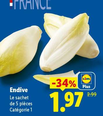 ENDIVE