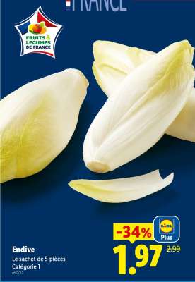 ENDIVE