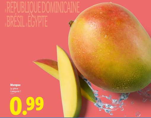 Mangue