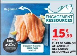 FILET DE SAUMON ATLANTIQUE DES FJORDS DE NORVEGE