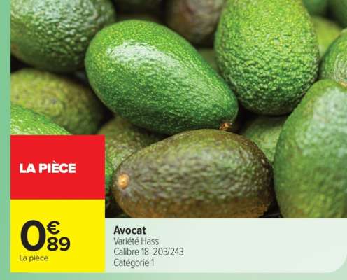 Avocat