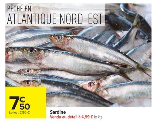 SARDINE
