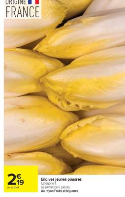 Endives Jeunes Pousses