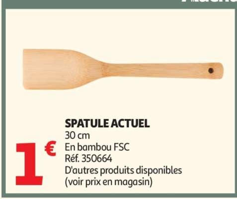 SPATULE ACTUEL