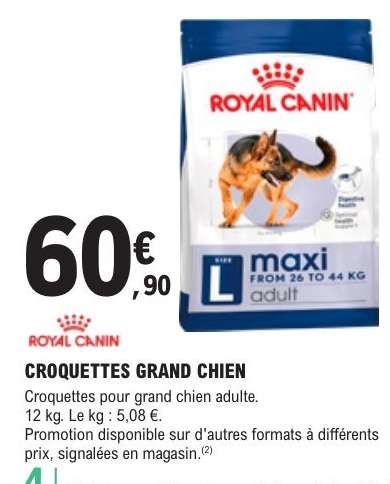 CROQUETTES GRAND CHIEN