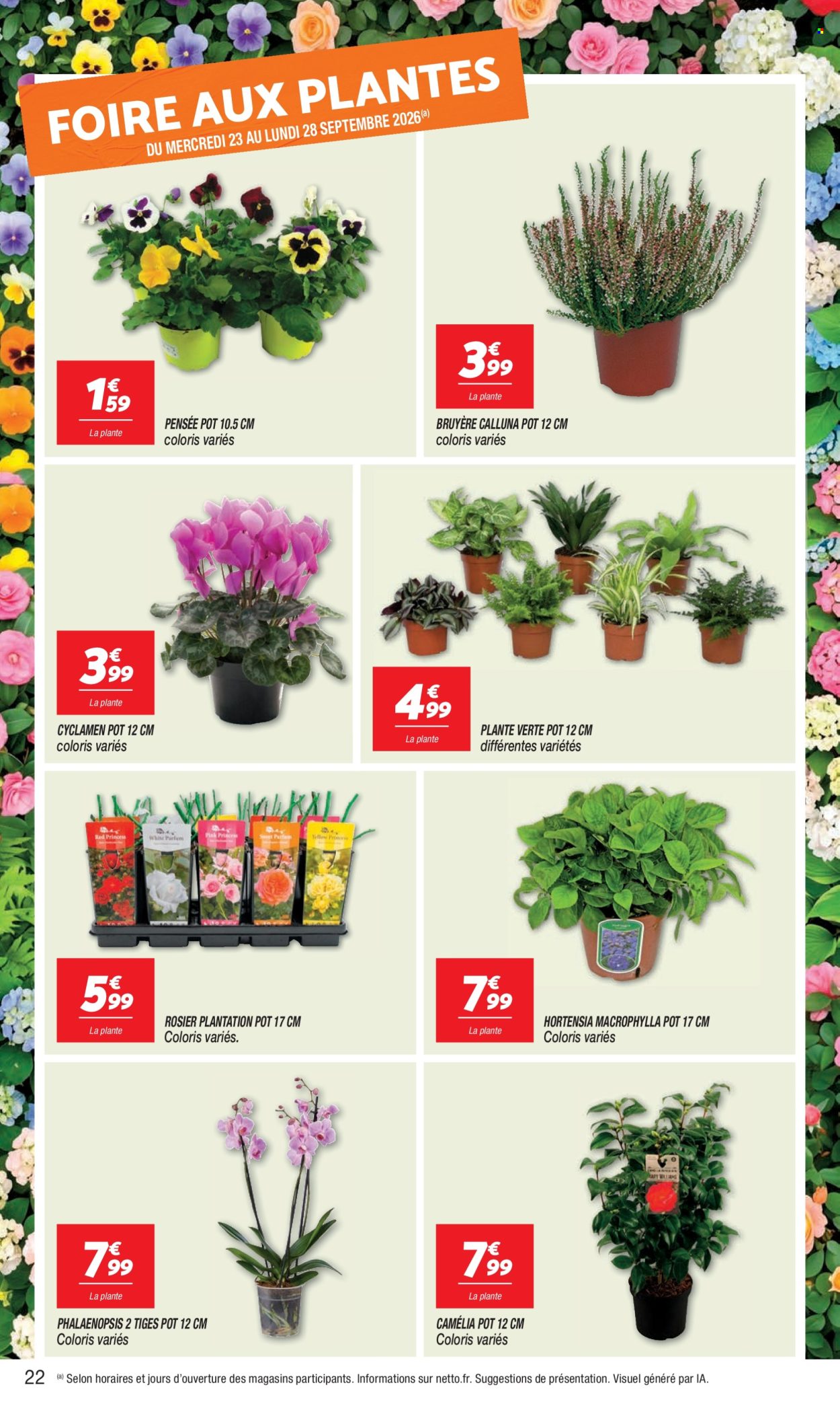 Catalogue Netto - 22/09/2026 - 28/09/2026. Page 22