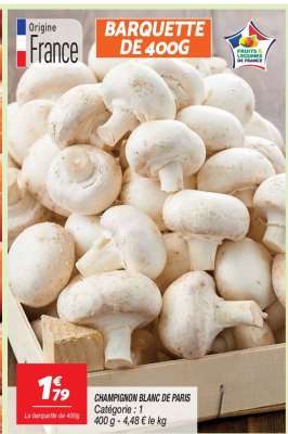 BARQUETTE DE 400G