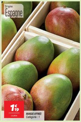MANGUE AFFINÉE
