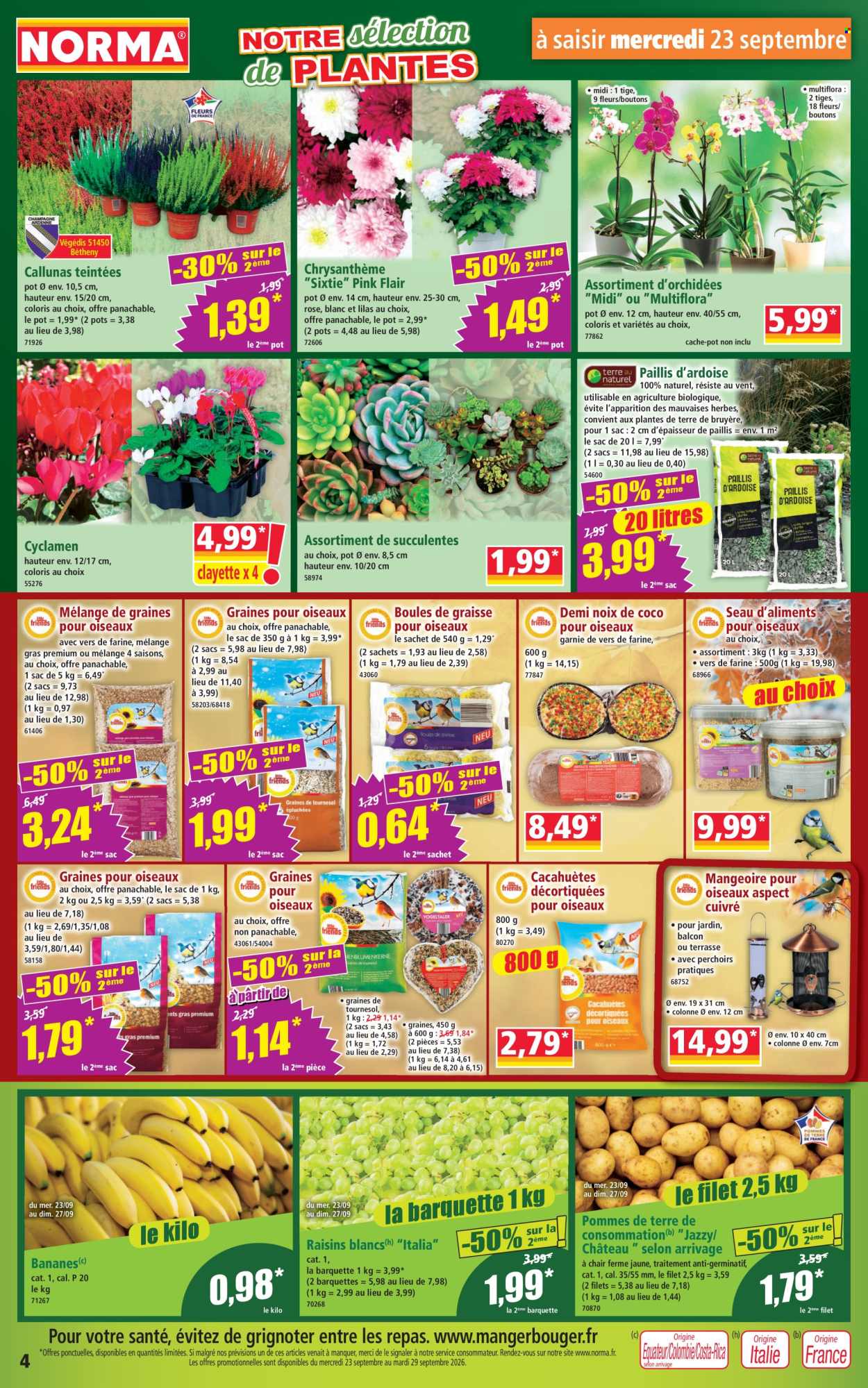 Catalogue Norma - 23/09/2026 - 29/09/2026. Page 4