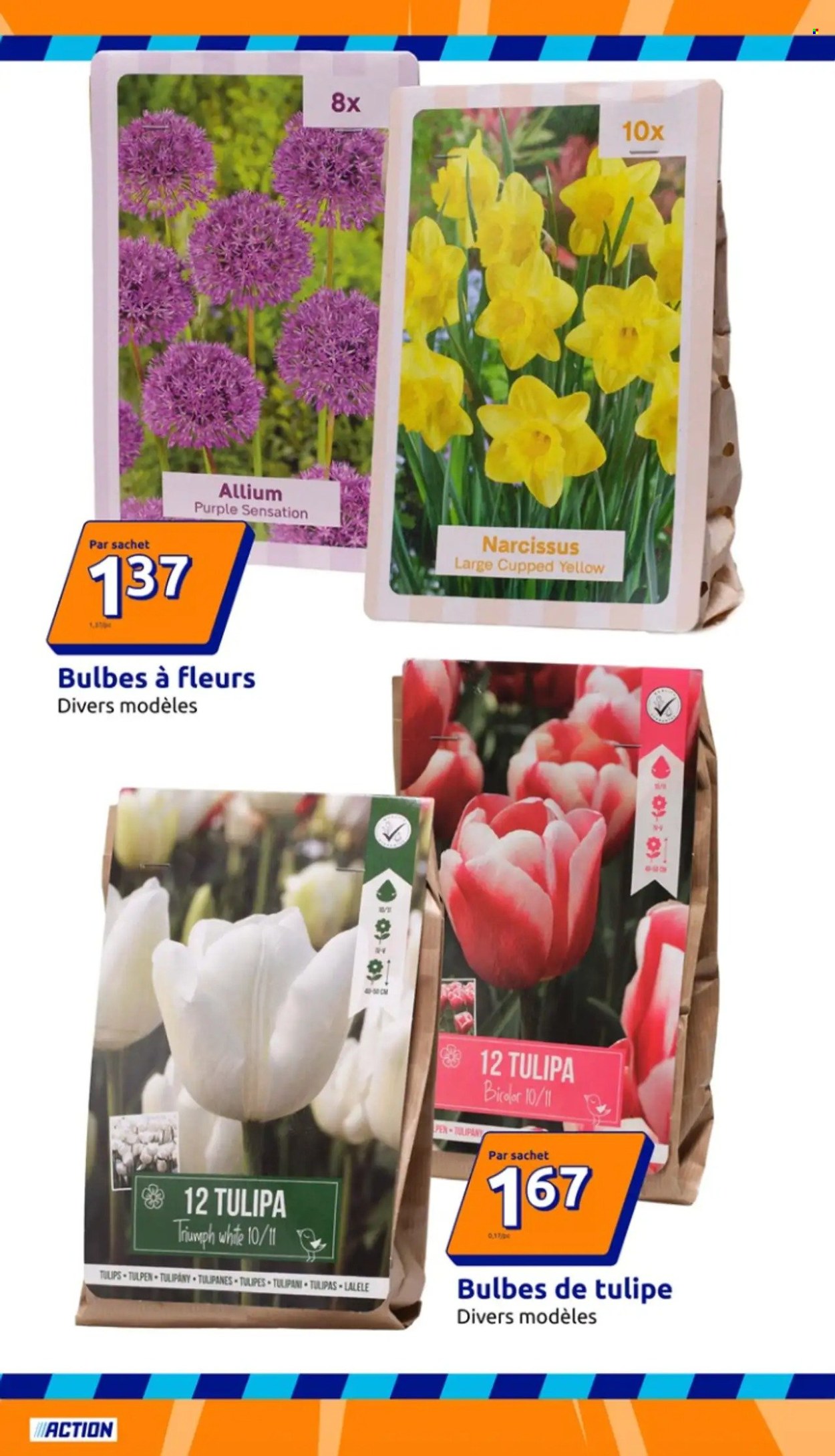 Catalogue Action - 16/09/2026 - 22/09/2026. Page 9