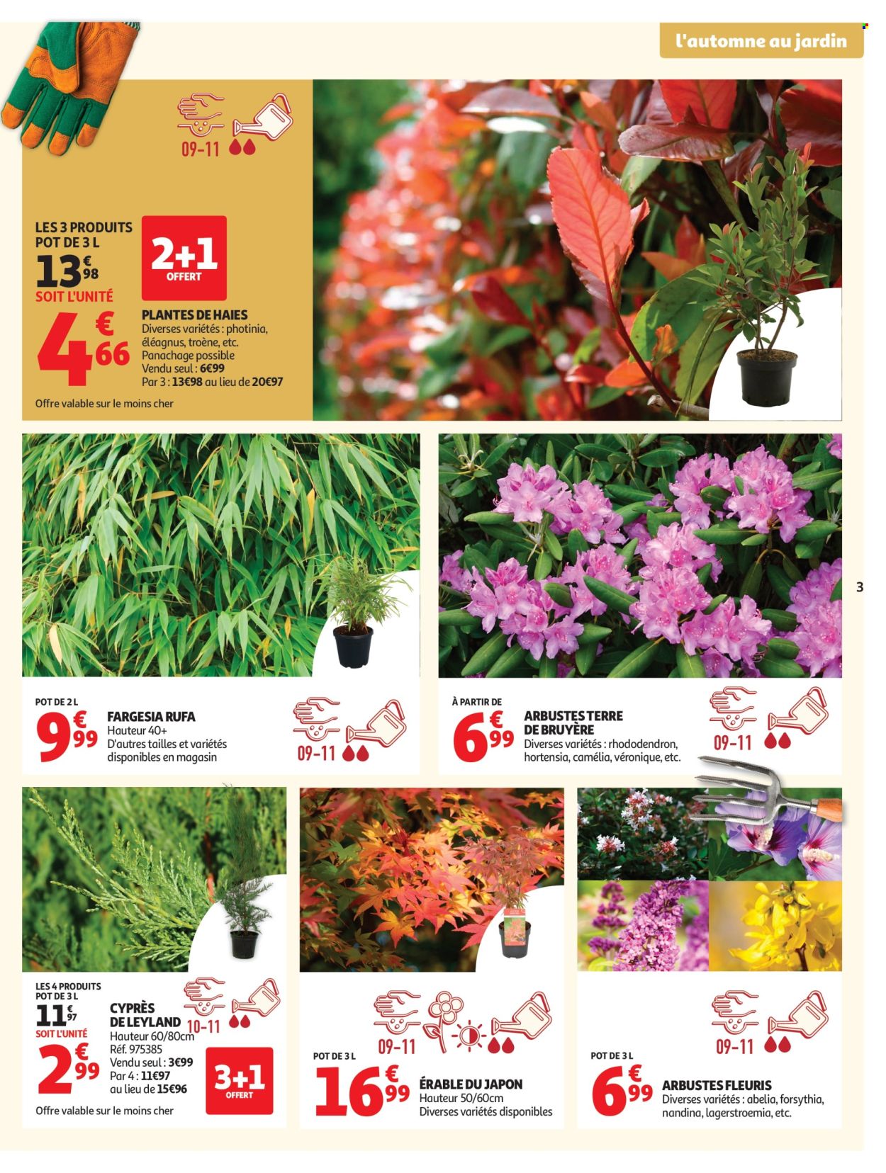 Catalogue Auchan - 22/09/2026 - 11/10/2026. Page 3